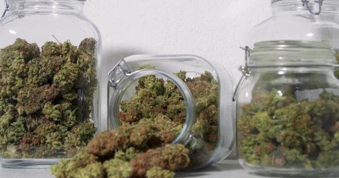 Dolly shot of harvested cannabis blooms in jars in front of a white background