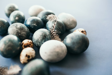Beautiful group ombre blue Easter eggs with quail eggs and feathers on a blue background. Easter concept. Border eggs. Copy space for text