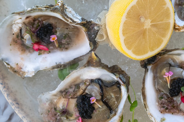 Fresh oysters with lemon on ice. Restaurant delicacy. Saltwater oysters dish.