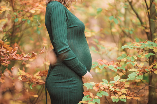 Pregnant woman, prenant belly close up in the autumn forest, wearing a green dress
