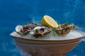 Fresh oysters with lemon on ice. Restaurant delicacy. Saltwater oysters dish.
