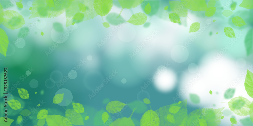 Wall mural nature view of green leaf on blurred greenery background in garden using background
