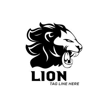 lion logo vector template design