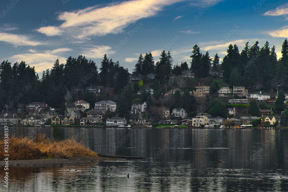 Wall mural 2020-03-07 LAKE WASHINGTON SHORE LINE FROM JUANITA BAY PARK IN KIRKLAND WASHINGTON