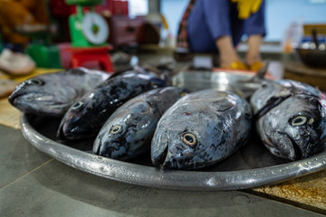 Fresh Fish and Seafood at the Market