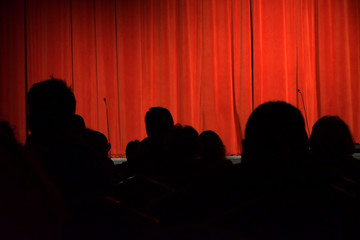 Concert audience awaiting Curtain Up