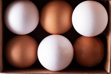 Raw chicken eggs organic food in paper box, high protein for health