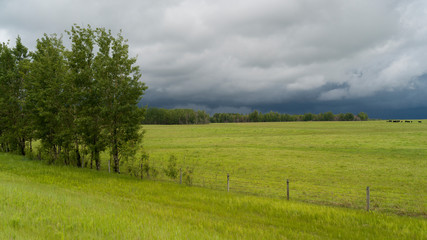 Scenic view of farmland field, Alberta Prairies, Alberta, Canada