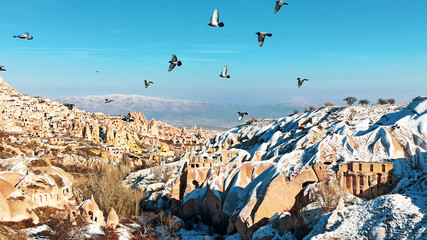 Pigeons are flying at Pigeon Valley in Cappadocia. Birds flying together with snowy volcanic landscape in Cappadocia, Turkey © Seckin Ozturk