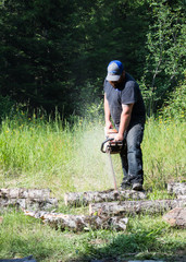 Cutting Wood for the Fire