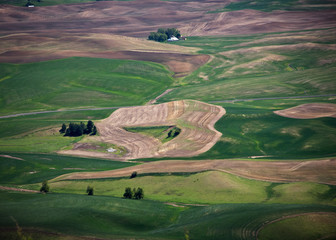 Farmland in the Spring