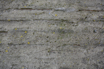 Beautiful vintage background. Abstract grunge decorative stucco wall texture. Wide rough background with copy space for text.