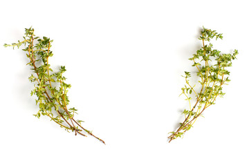 Sprigs of fresh thyme on a white background, close-up, flat lay, top view.