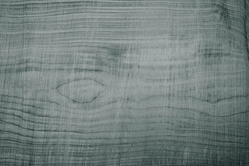 ash cut of a tree is very close, background