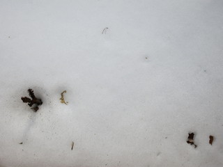 Snow Background
