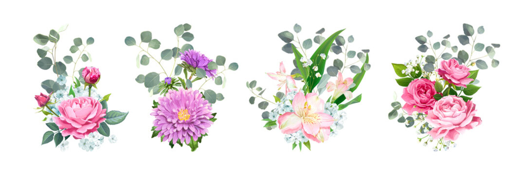 Set of vector bouquets. Blooming flowers of pink Roses, Alstroemeria, light-blue Phloxes, violet Aster and tender Gypsophila among of Eucalyptus leaves isolated on a white background. Wedding Design