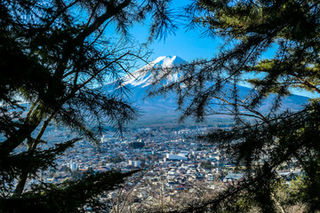A distant view on Mt Fuji in Japan through the pine trees' branches, captured on a clear, wintery day. The top parts of the volcano are covered with a layer of snow. Holly mountain. Mystery and beauty