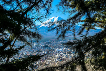 A distant view on Mt Fuji in Japan through the pine trees' branches, captured on a clear, wintery day. The top parts of the volcano are covered with a layer of snow. Holly mountain. Mystery and beauty