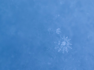 snowflakes