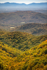 Obraz premium Tree covered hills of the Blue Ridge Mountains in North Carolina USA