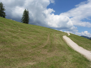 Footpath leading through a green alpine pasture at summer . La Villa, Bolzano, Alto Adige, South Tyrol, Italy