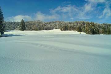 Glitzernder Schnee