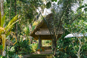 A small empty cafe in a thicket of tropical trees and bamboo. A table under a thatched roof in the Balinese style. Gazebo in the jungle.
