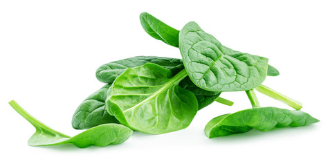 Fresh Spinach leaves isolated  on white background. Close up