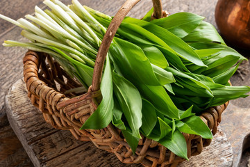 Fresh wild garlic leaves in a basket on a table