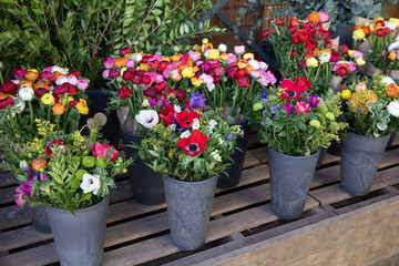 Everyday flowers counter with variety of fresh cut flowers such as persian buttercups, anemone coronaria and beautiful bouquets of them in the vases at the greek garden shop in spring.