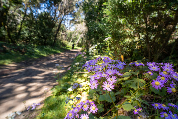 La Gomera auf den Kanaren