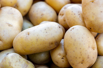Raw potatoes close-up at a farmers market.