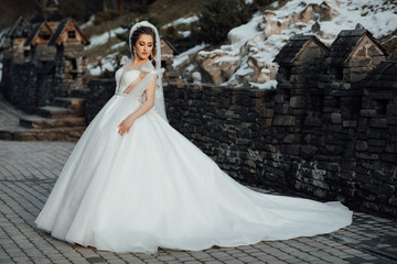 Fototapeta premium Beautiful sensual young brunette bride in long white wedding dress and veil standing on natural background. The stunning young bride is incredibly happy. Wedding day. Perfect Make up. Hairstyle