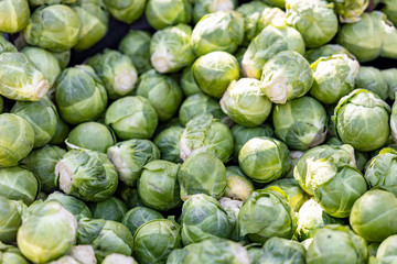 Fototapeta na wymiar Brussels sprouts. Brussel sprouts for background.