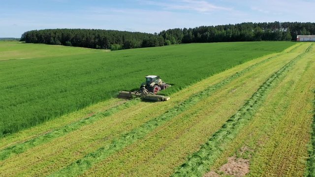 Farmer In Tractor Mowing Green Grass In Field For Hay Or Silage Aerial View