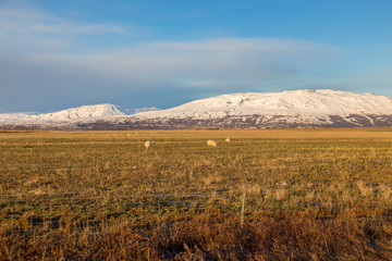 Fototapeta na wymiar nature sights in Iceland