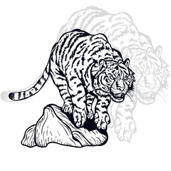 tiger jump vintage illustration