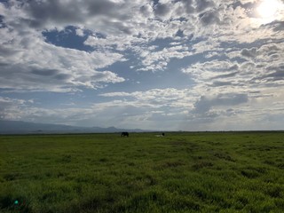 Fototapeta na wymiar clouds over green field