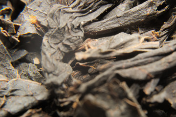 black tea, macro photography