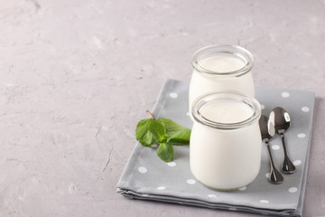 Two portions of homemade natural organic yogurt in glass jars on a grey background, Copy space