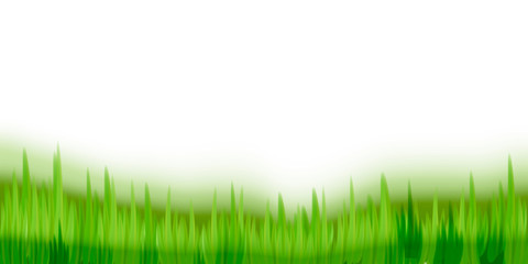 Fototapeta na wymiar Vector green grass illustration: natural, organic, bio, eco label and shape on white background.