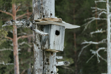 Birdhouse