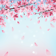 Obraz na płótnie Canvas Pink flowering cherry branch
