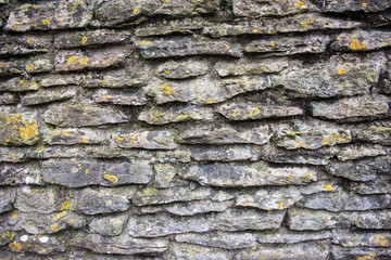 Close view of a mortared stone wall built using flat stones and with different lichens and mosses growing