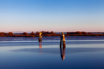 bricole sul mare, laguna di Marano Lagunare, udine, friuli venezia giulia, italia. © snake_xenzia