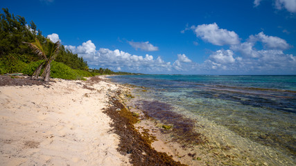 Strand in der Karibik mit blauem bewölktem Himmel