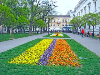 lawn with blooming pansies of three colors yellow purple and orange - obrazy, fototapety, plakaty