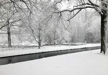  Winter landscape with trees, snow and lake in city park.
