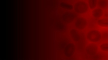 Human blood cells under a microscope, the movement of red blood cells in blood vessels