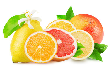 Fototapeta na wymiar citrus mix isolated on a white background